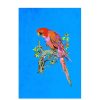 Art Jessica Russell Flint | Signed Print / "The Proper Parrot"