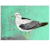 Art Jessica Russell Flint | Signed Print / "The Condescending Seagull"