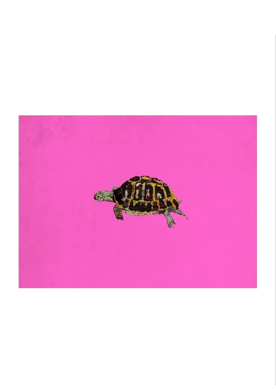 Art Jessica Russell Flint | Signed Print / "The Little Tortoise"