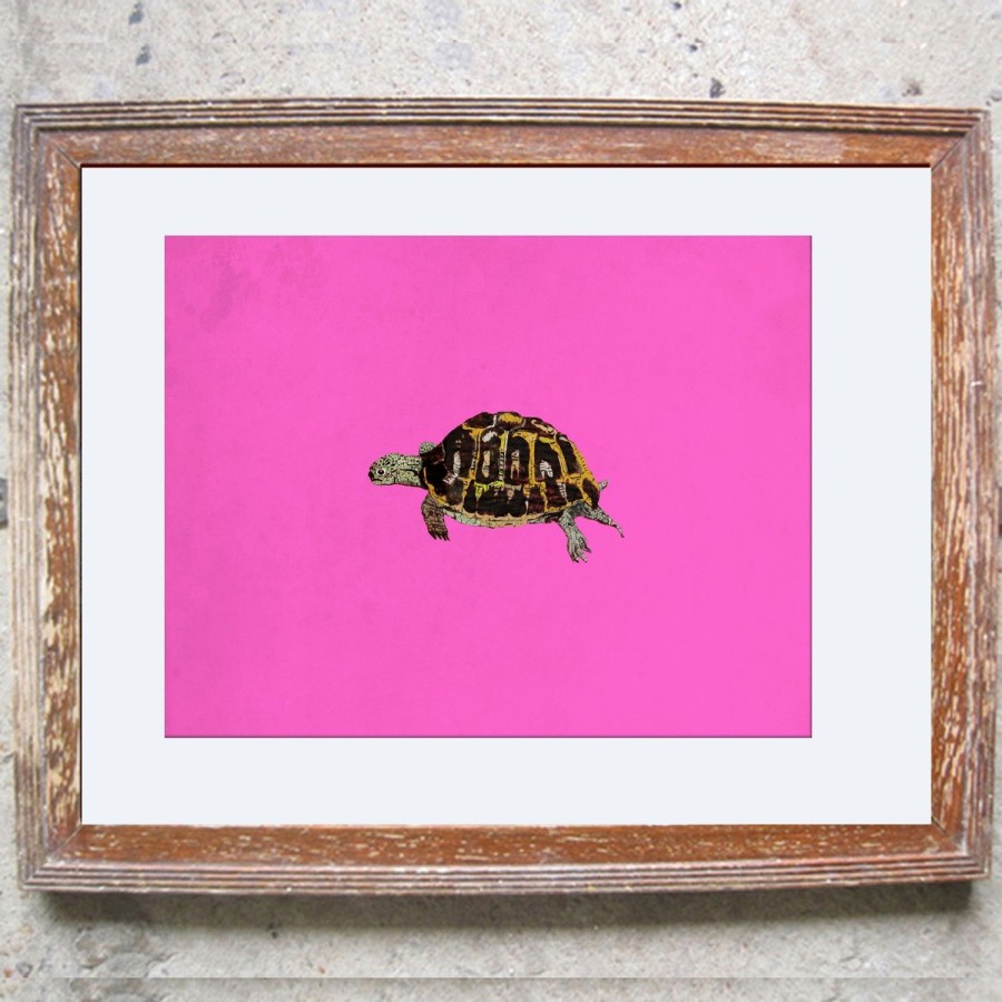 Art Jessica Russell Flint | Signed Print / "The Little Tortoise"